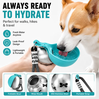 Stainless Steel 2 in 1 Dog & Cat Water Bottle